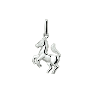 Charms de plata