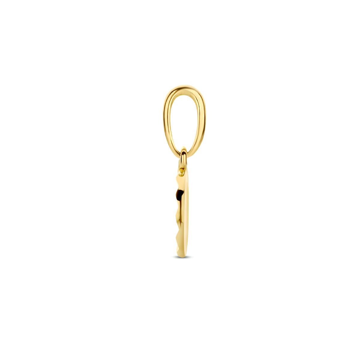 colgante círculo diamantado 14K oro amarillo