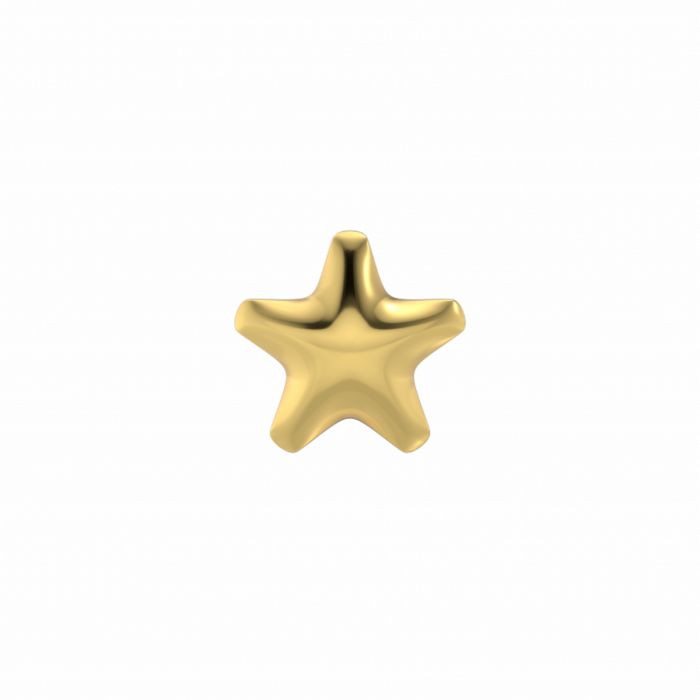 Pendientes de estrella de acero dorado.