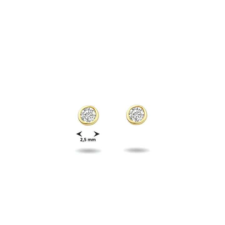 oorknoppen zirkonia 14K geelgoud