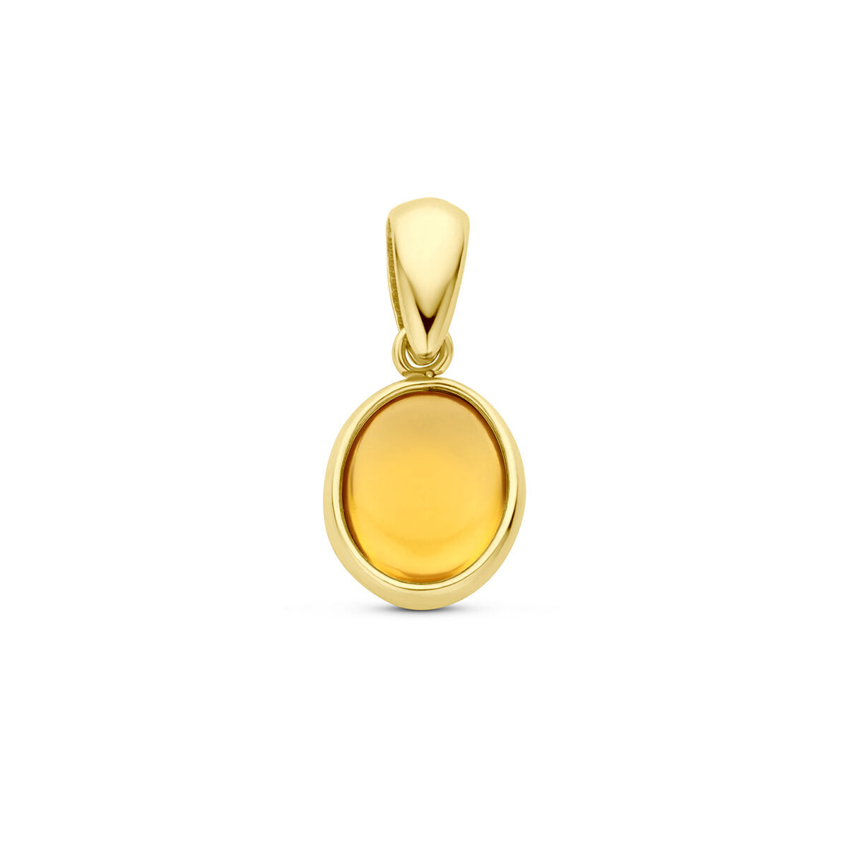 Hanger van 14K geelgoud met een ovale citrien steen in een gladde zetting.