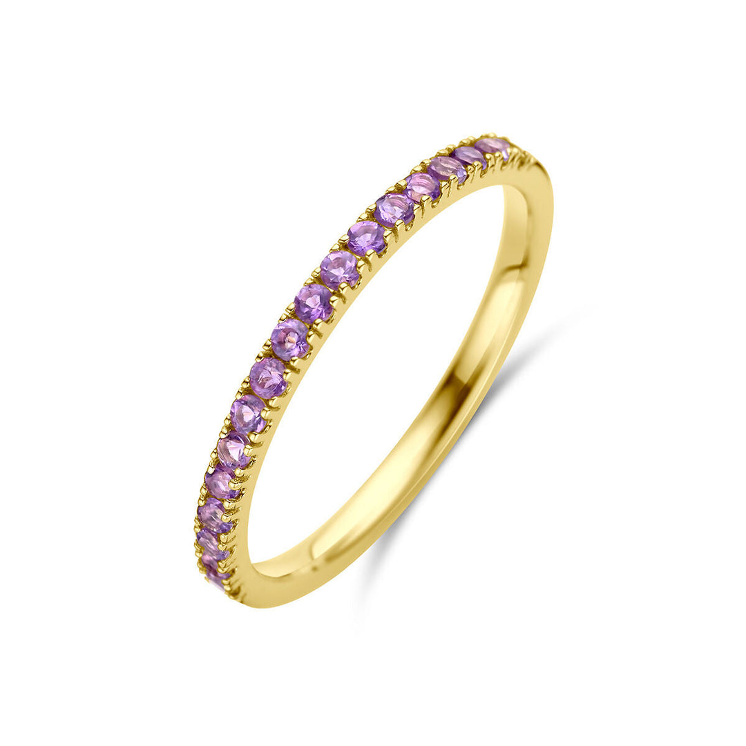 De Van der Kooij Collectie ring met geboortesteen amethist februari 14K geelgoud is voorzien van kleine, ronde amethist edelstenen die in een doorlopende lijn langs de bovenste helft zijn geplaatst, weergegeven tegen een witte achtergrond.