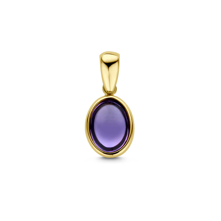 hanger amethist 14K geelgoud