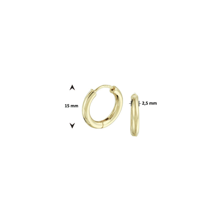 aros 2,5 mm redondos