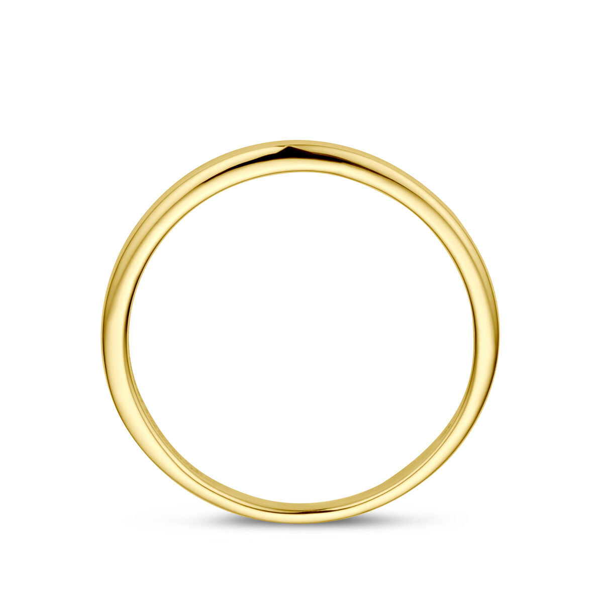 De Van der Kooij Collectie ring 14K geelgoud heeft een eenvoudig, gepolijst ontwerp met een glad, afgerond oppervlak - ideaal voor liefhebbers van minimalistische sieraden - tegen een effen witte achtergrond.