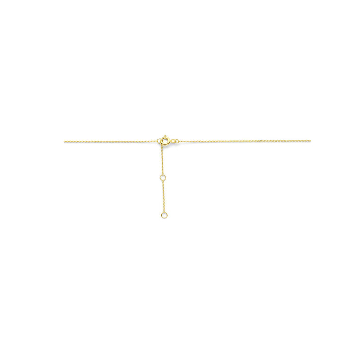 collier hartje lab grown diamant 0,7 mm 40 - 42 - 44 cm 0.25ct g si 14K geelgoud