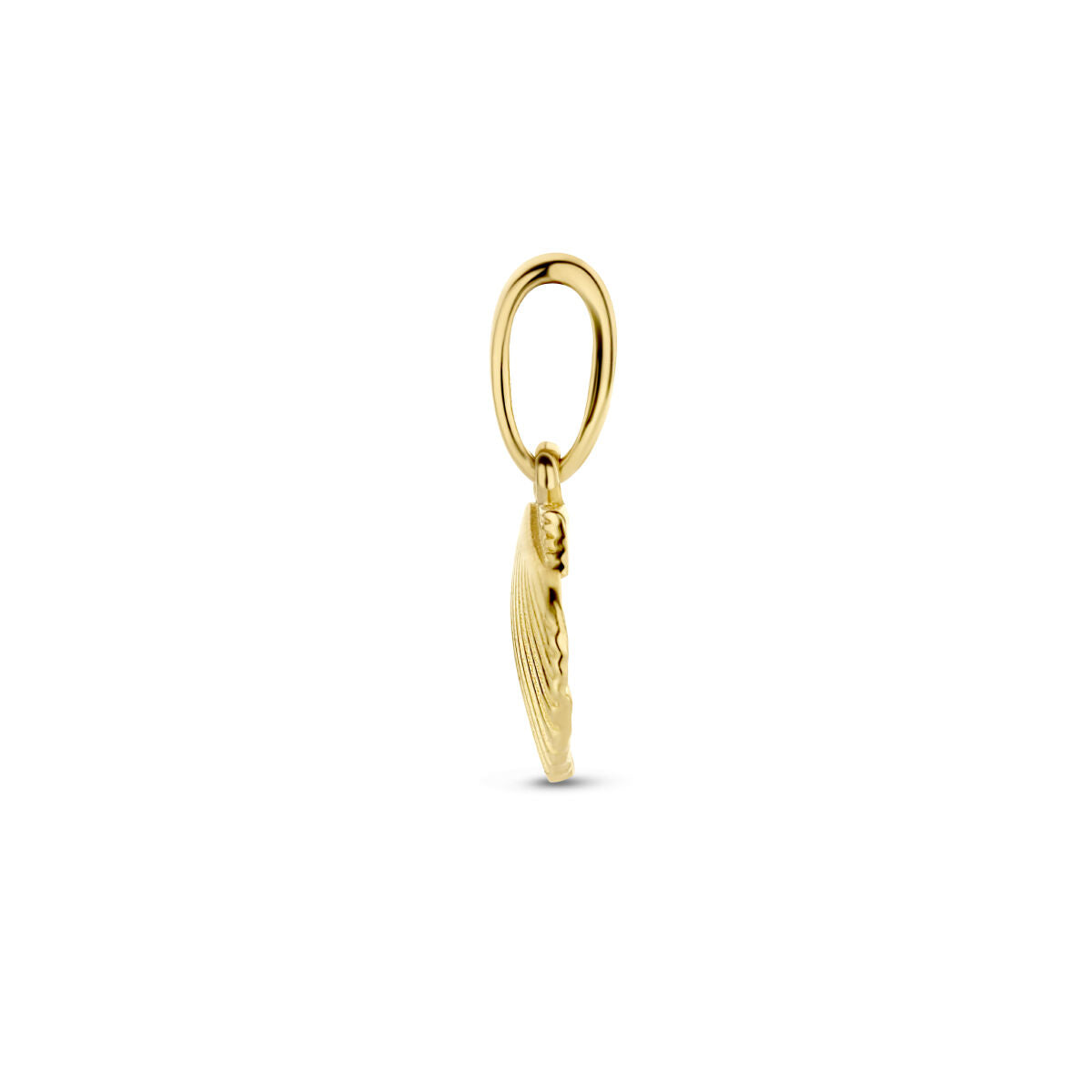 colgante concha 14K oro amarillo