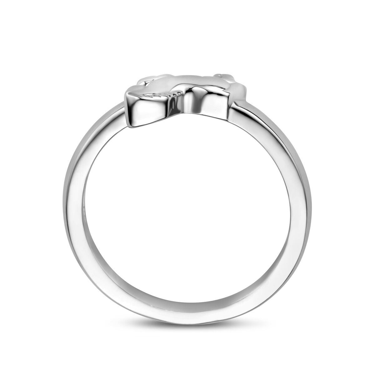 De Van der Kooij Collectie ring paard zilver gerhodineerd heeft een eenvoudige zilveren band met daarop een klein, plat paardenmotief. Deze elegante kinderring wordt getoond tegen een effen witte achtergrond.