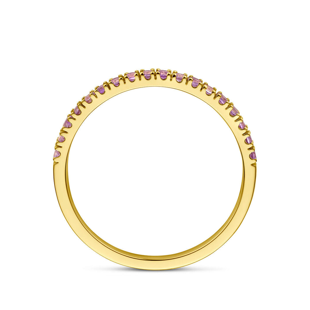 De Van der Kooij Collectie ring met geboortesteen licht amethist juni 14K geelgoud is een delicate 14k gouden ring met een rij lichte amethist edelstenen langs de bovenkant, weergegeven op een witte achtergrond.