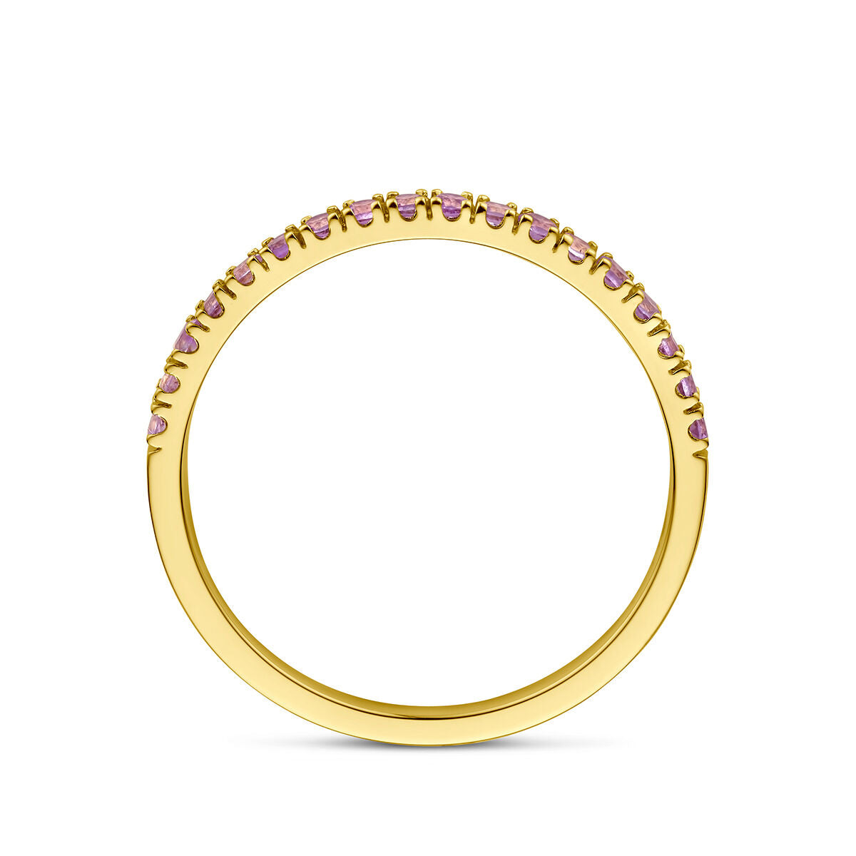 De Van der Kooij Collectie ring met geboortesteen licht amethist juni 14K geelgoud is een delicate 14k gouden ring met een rij lichte amethist edelstenen langs de bovenkant, weergegeven op een witte achtergrond.