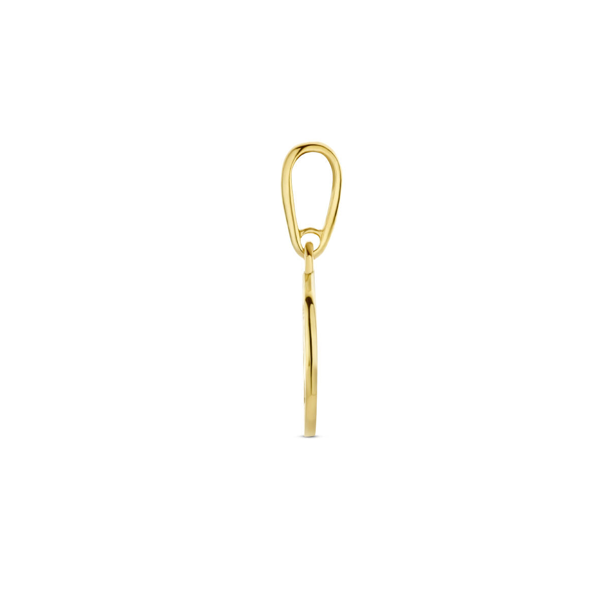 colgante brújula oro amarillo 14K