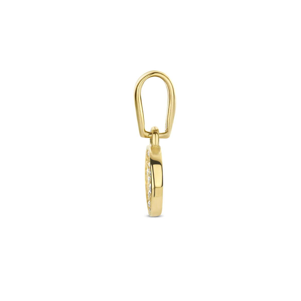 colgante círculo de zirconia 14K oro amarillo