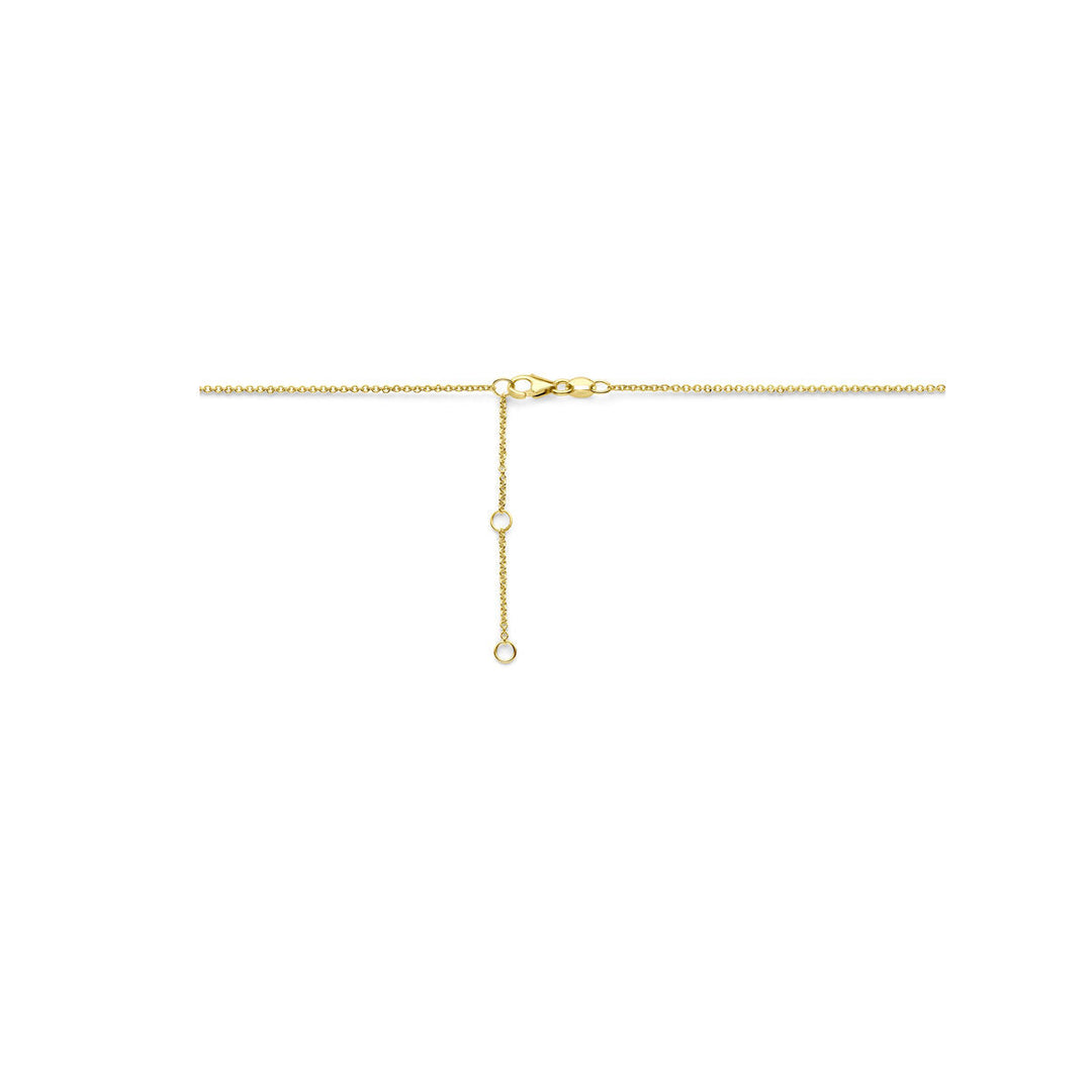 Een trendy gouden ketting: het collier rondjes 40-42-44 cm van Van der Kooij Collectie is een fijn 14K geelgouden damescollier met verstelbare lengte en karabijnsluiting, mooi gepresenteerd op een witte achtergrond.