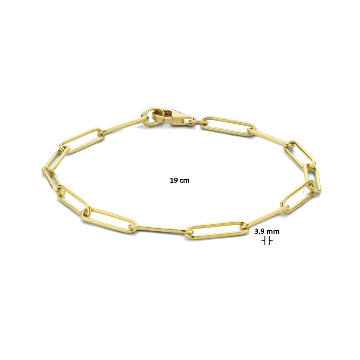 pulsera paperclip redonda maciza 3,9 mm 19 cm 14K oro amarillo