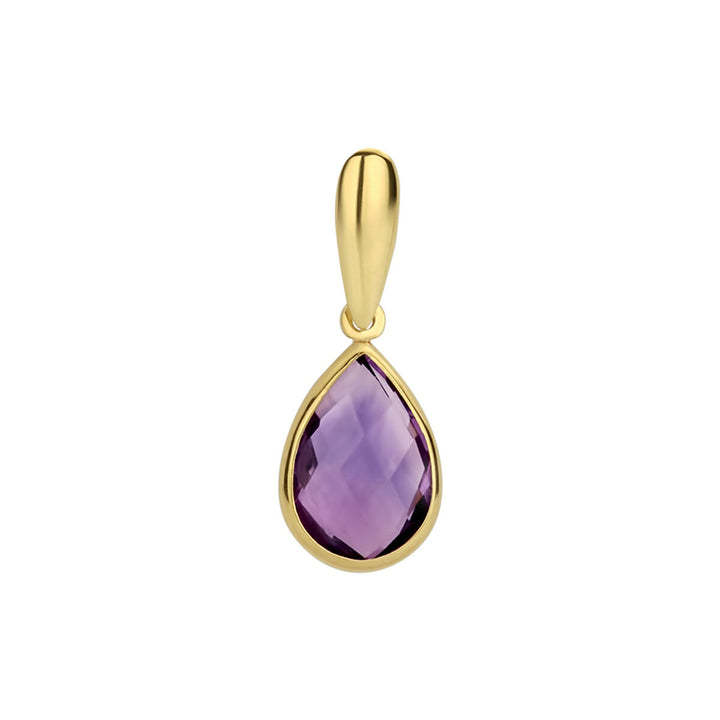 hanger amethist 14K geelgoud