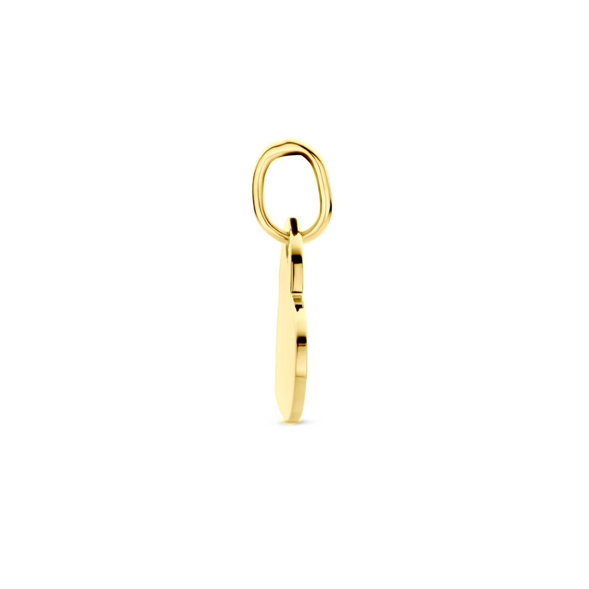 colgante en forma de corazón 14K oro amarillo