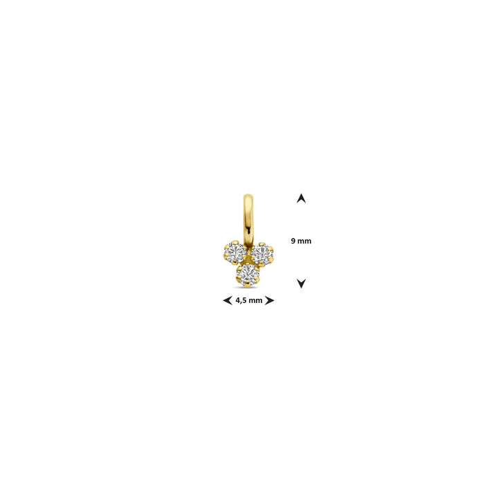 De Van der Kooij Collectie hanger zirkonia 9 mm 14K geelgoud heeft drie ronde, witte zirkonia in een elegante driehoekige cluster. De dameshanger meet 9 x 4,5 mm en wordt gebruikt tegen een witte achtergrond met maatvermelding.