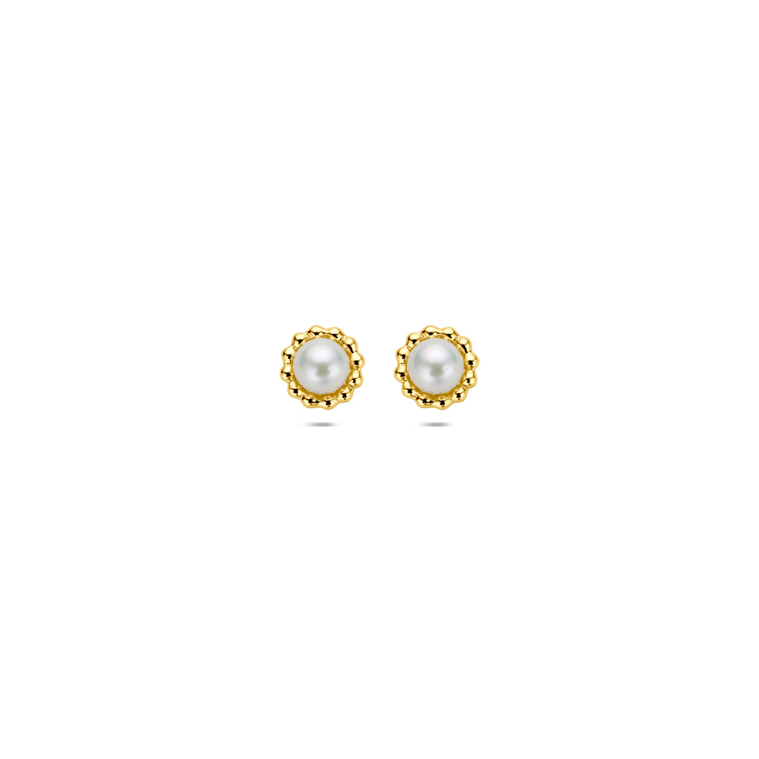 oorknoppen parel 14K geelgoud