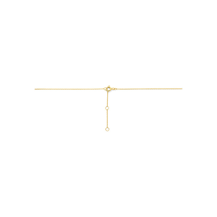 collier 14K geelgoud