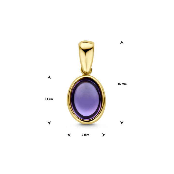 hanger amethist 14K geelgoud