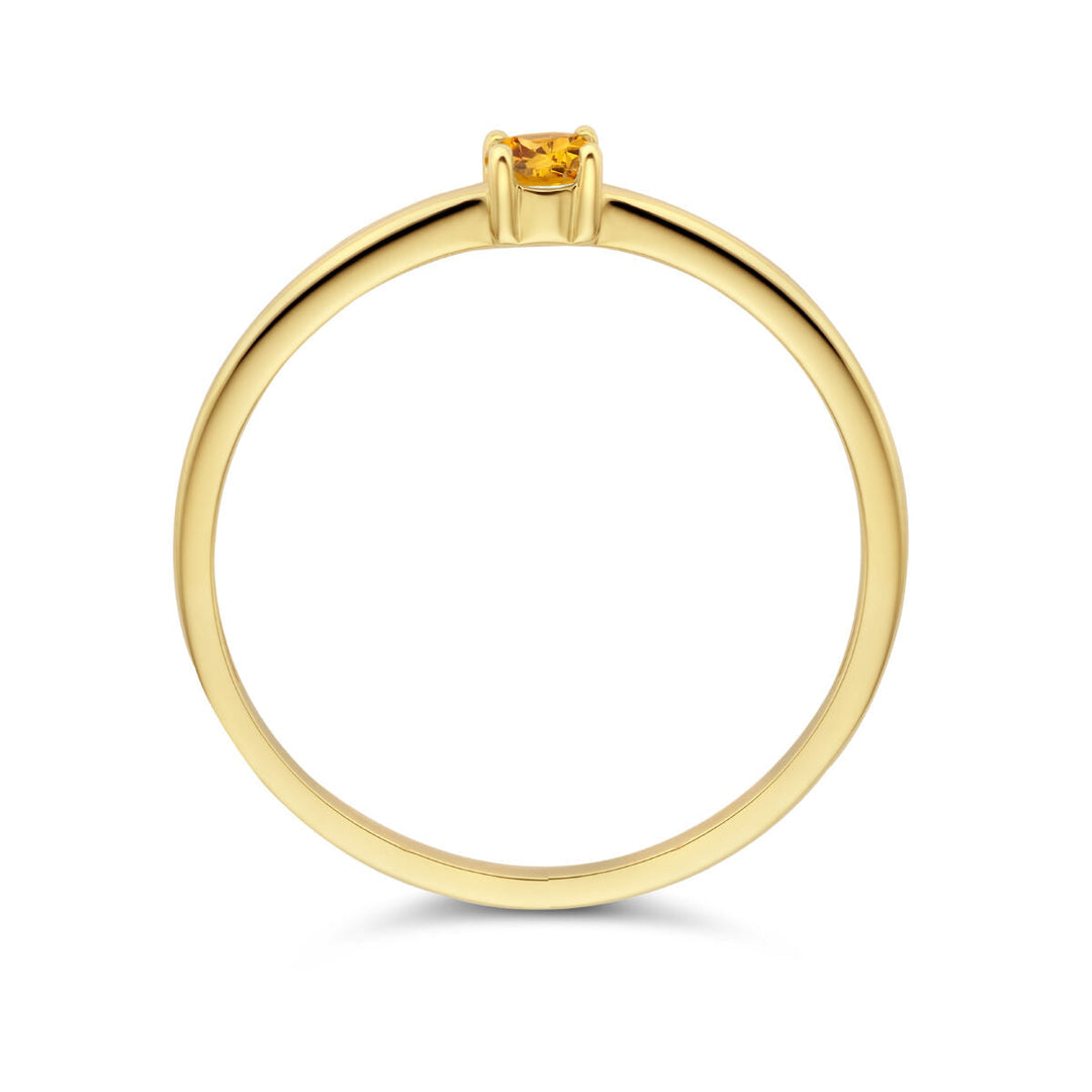De Van der Kooij Collectie ring met geboortesteen citrien november 14K geelgoud is een eenvoudige gouden ring met een kleine, ronde citrien in een viertandige zetting, weergegeven op een witte achtergrond.