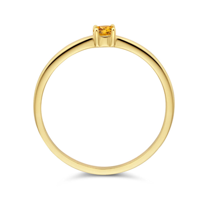 De Van der Kooij Collectie ring met geboortesteen citrien november 14K geelgoud is een eenvoudige gouden ring met een kleine, ronde citrien in een viertandige zetting, weergegeven op een witte achtergrond.