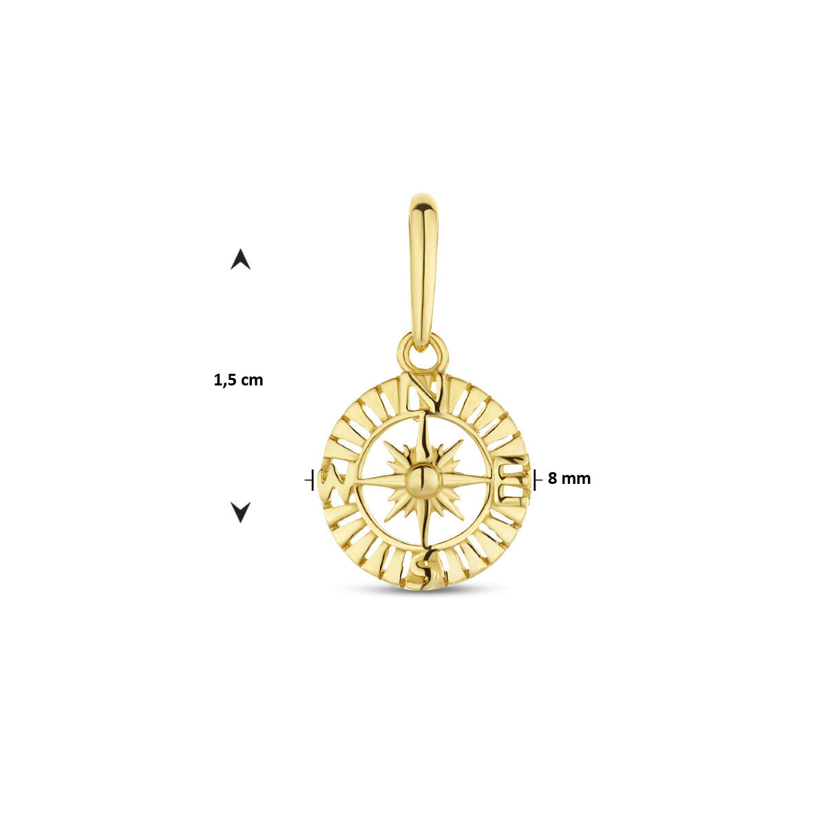 colgante compás 14K oro amarillo