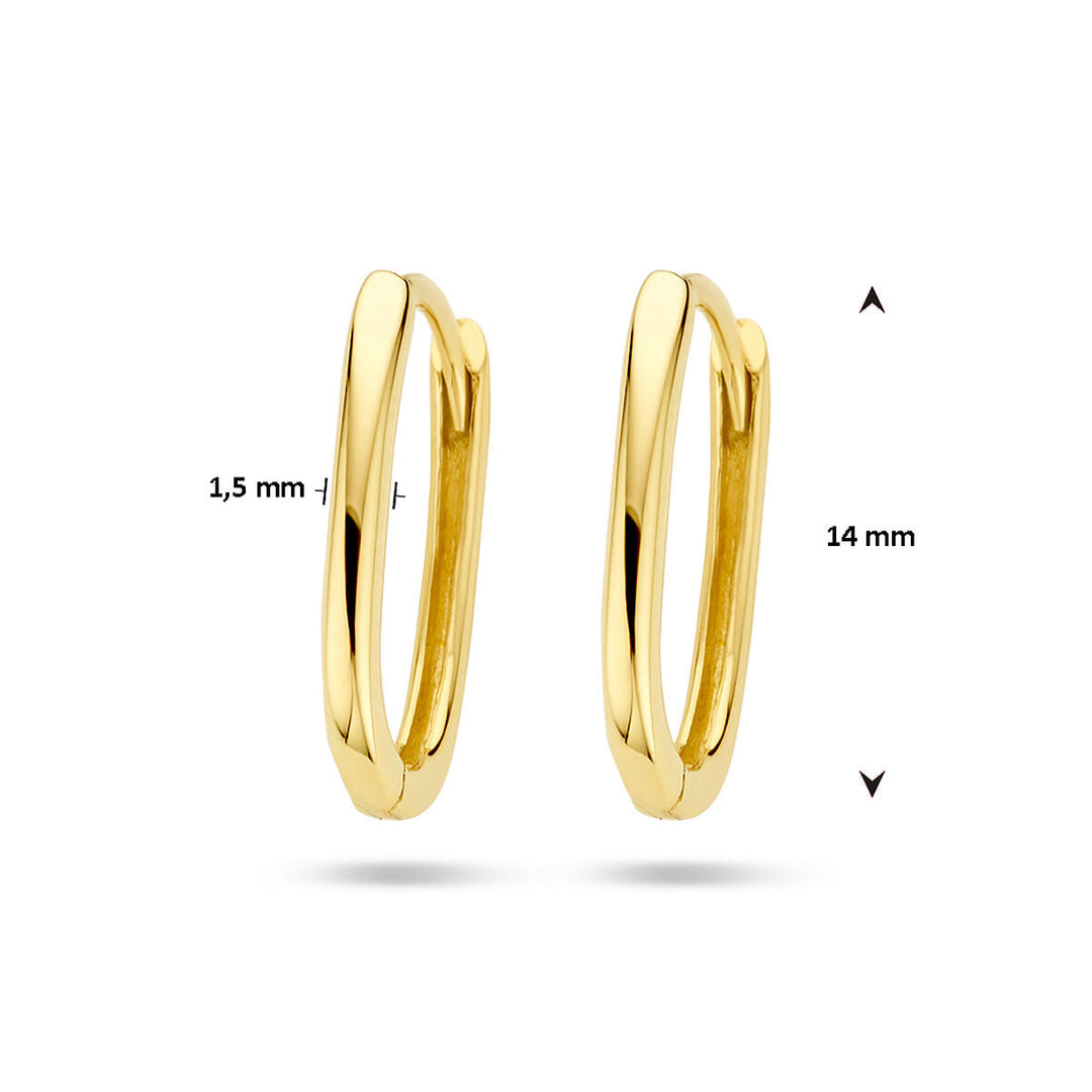 klapoorringen paperclip 14K geelgoud