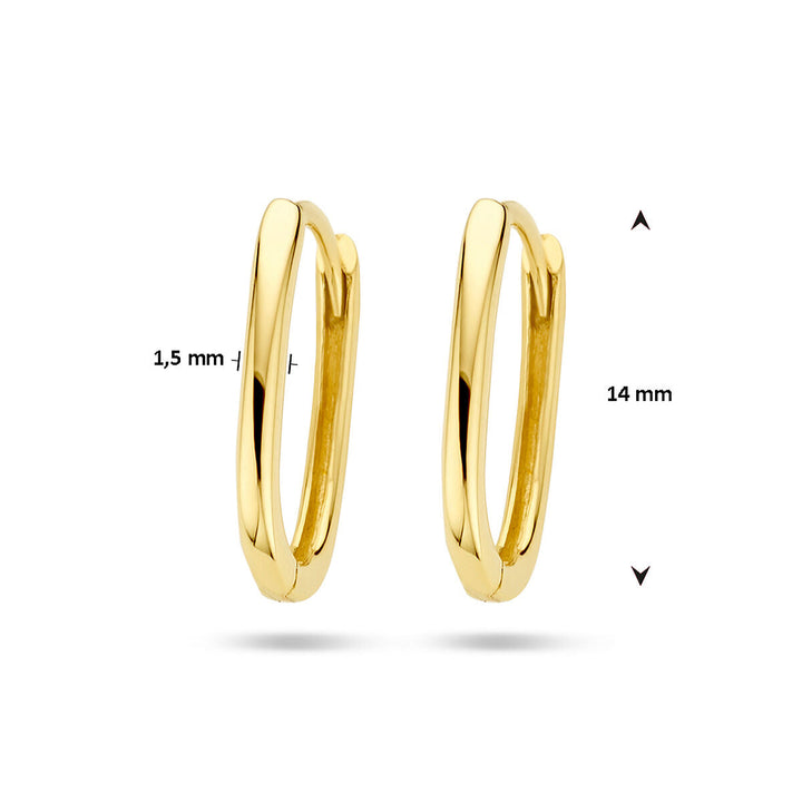 klapoorringen paperclip 14K geelgoud