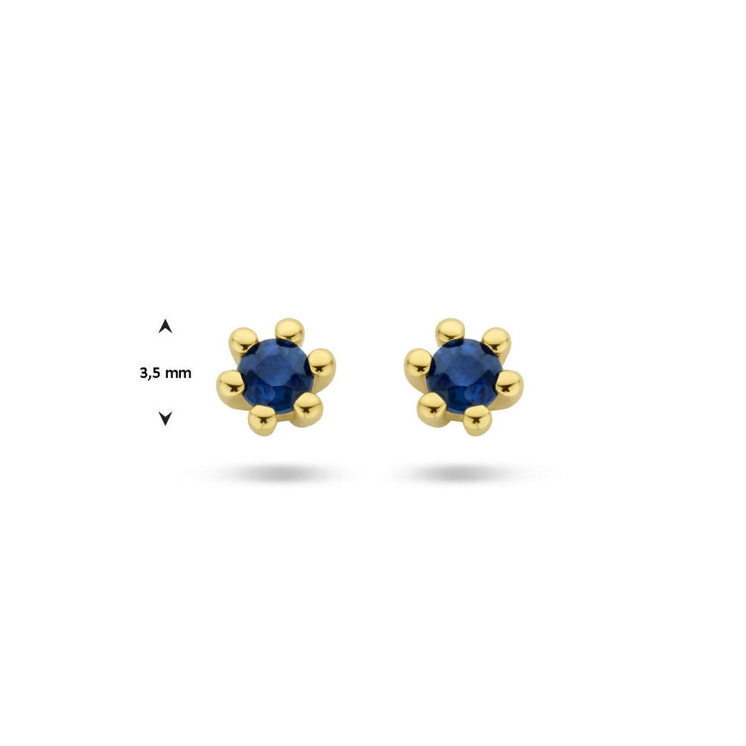 Van der Kooij Collectie oorknoppen saffier 14K geelgoud: ronde blauwe saffieren in het midden, vastgezet met zes gouden pootjes en een diameter van 3,5 mm voor tijdloze elegantie.