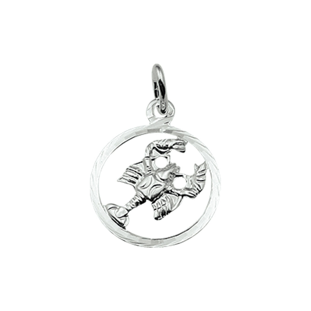 Een opvallend stuk van Van der Kooij Collectie, de hanger sterrenbeeld gediamanteerd zilver wit schittert in zilver met een gedetailleerd dierenriem ontwerp, perfect als een elegant unisex accessoire dat jouw sterrenbeeld symboliseert.