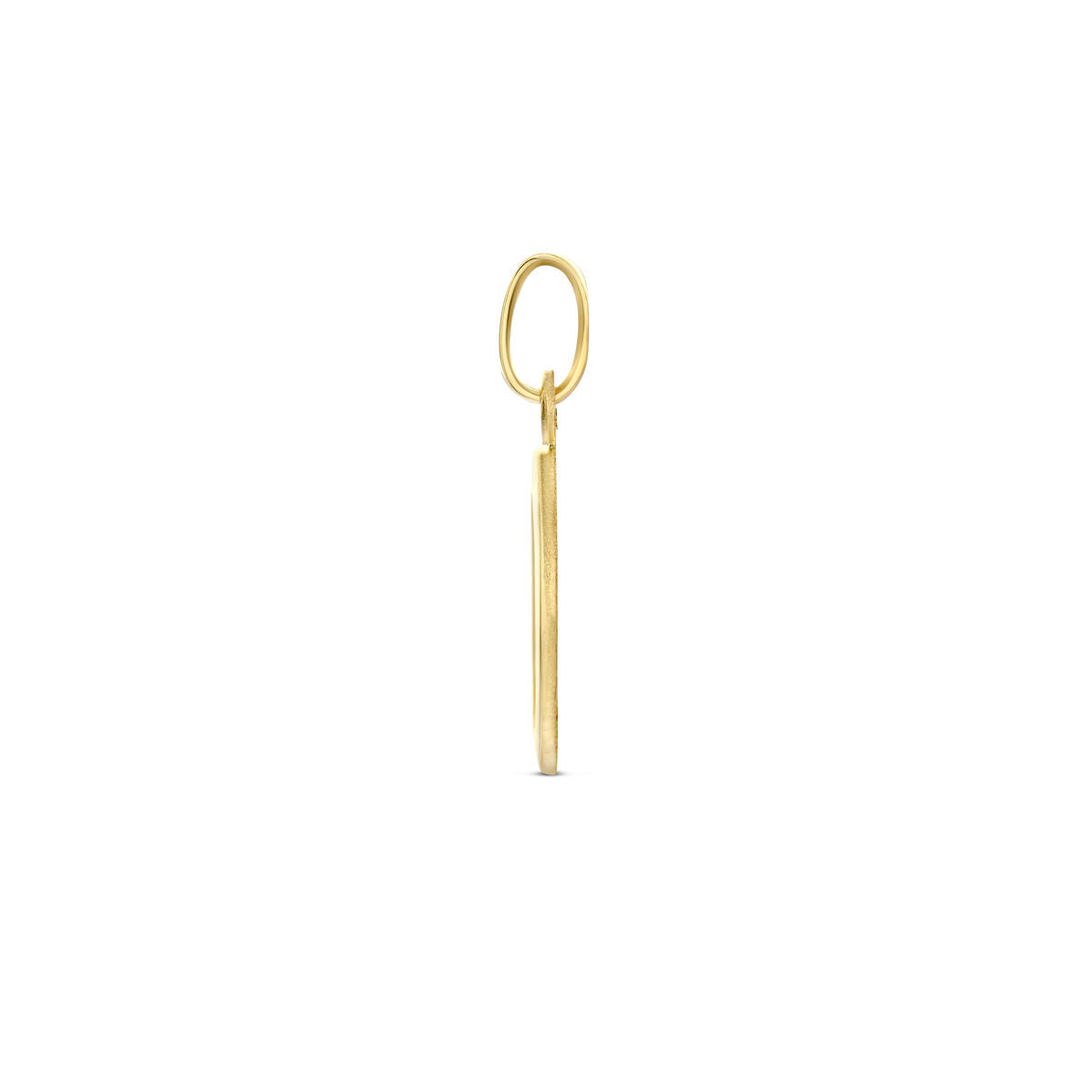 colgante ovalado ángel poli/mate 19 mm 14K oro amarillo