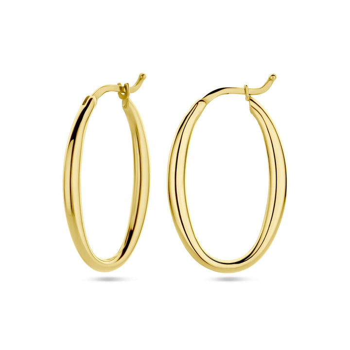 oorringen ovaal 14K geelgoud