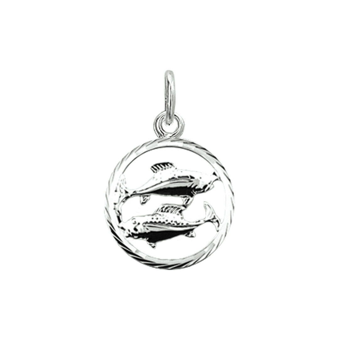 De Van der Kooij Collectie hanger sterrenbeeld gediamanteerd zilver wit is een stijlvolle unisex hanger met een sprankelende zilveren afwerking, perfect voor het toevoegen van een elegante touch aan elke ketting.
