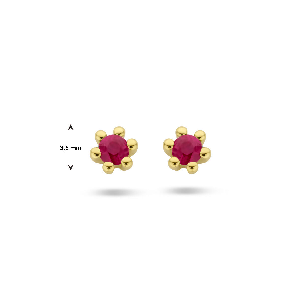 Van der Kooij Collectie oorknoppen robijn 14K geelgoud: elegante oorknoppen met briljant geslepen robijn in het midden, daarnaast door zes gouden pootjes, kleine stud-design, voorbeelden op witte achtergrond met 3.5 mm maatindicator.