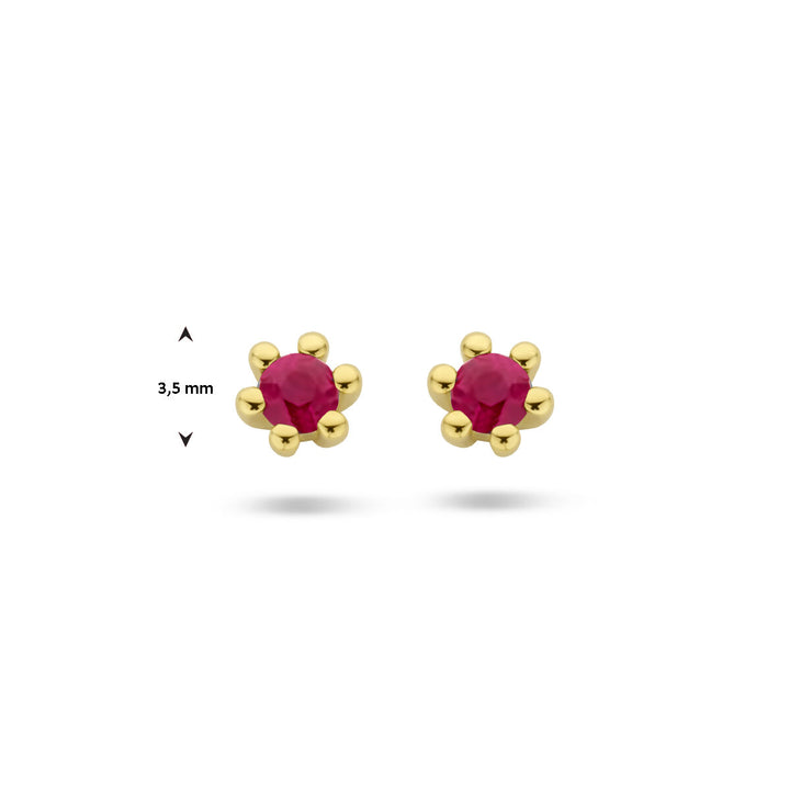 Van der Kooij Collectie oorknoppen robijn 14K geelgoud: elegante oorknoppen met briljant geslepen robijn in het midden, daarnaast door zes gouden pootjes, kleine stud-design, voorbeelden op witte achtergrond met 3.5 mm maatindicator.