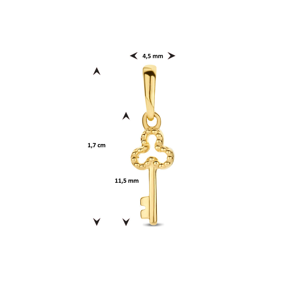 colgante llave 14K oro amarillo