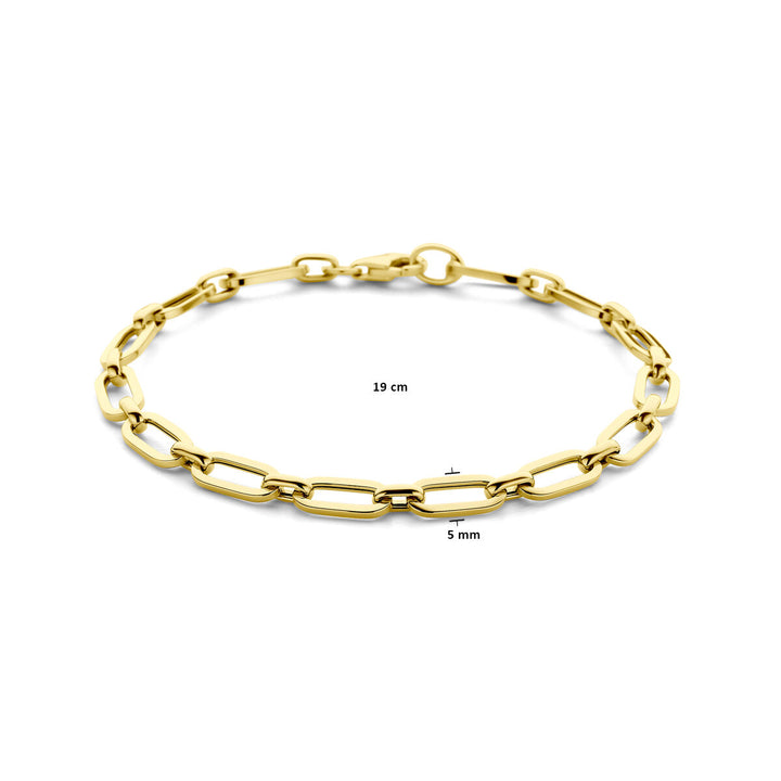 armband paperclip 5,0 mm 19 cm 14K geelgoud