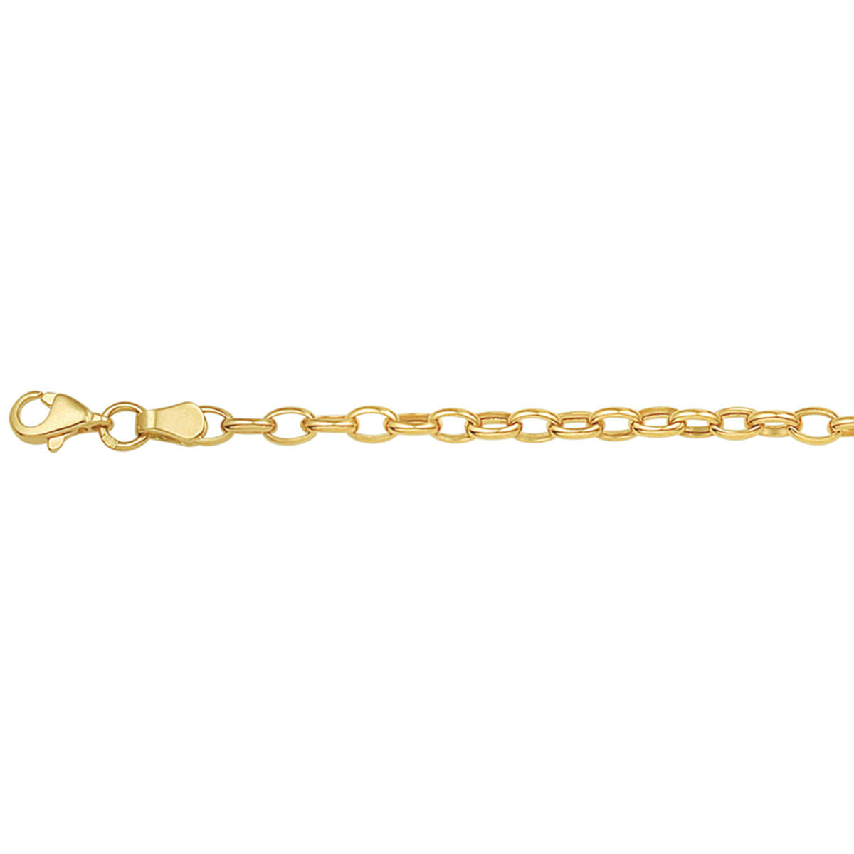 De Gouden armband dames anker 14K van Van der Kooij Collectie met ovale schakels en stevige karabijnsluiting, stijlvol gepresenteerd op een witte achtergrond.