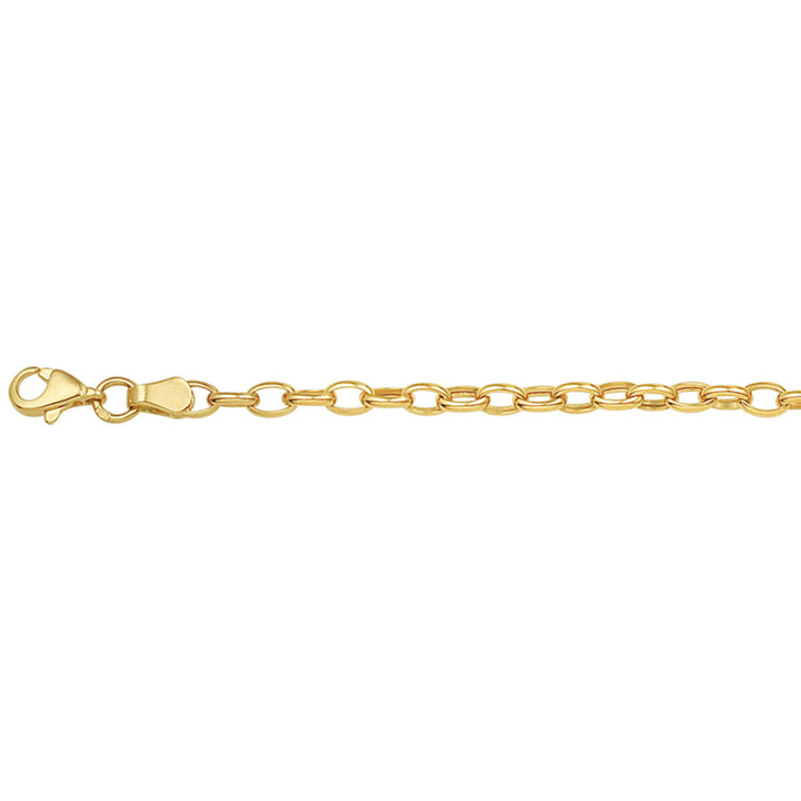 De Gouden armband dames anker 14K van Van der Kooij Collectie met ovale schakels en stevige karabijnsluiting, stijlvol gepresenteerd op een witte achtergrond.