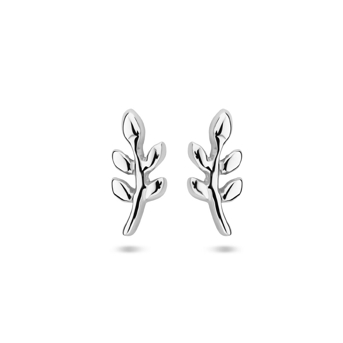 Pendientes de hoja de plata rodiada con diseño de ramas y hojas.