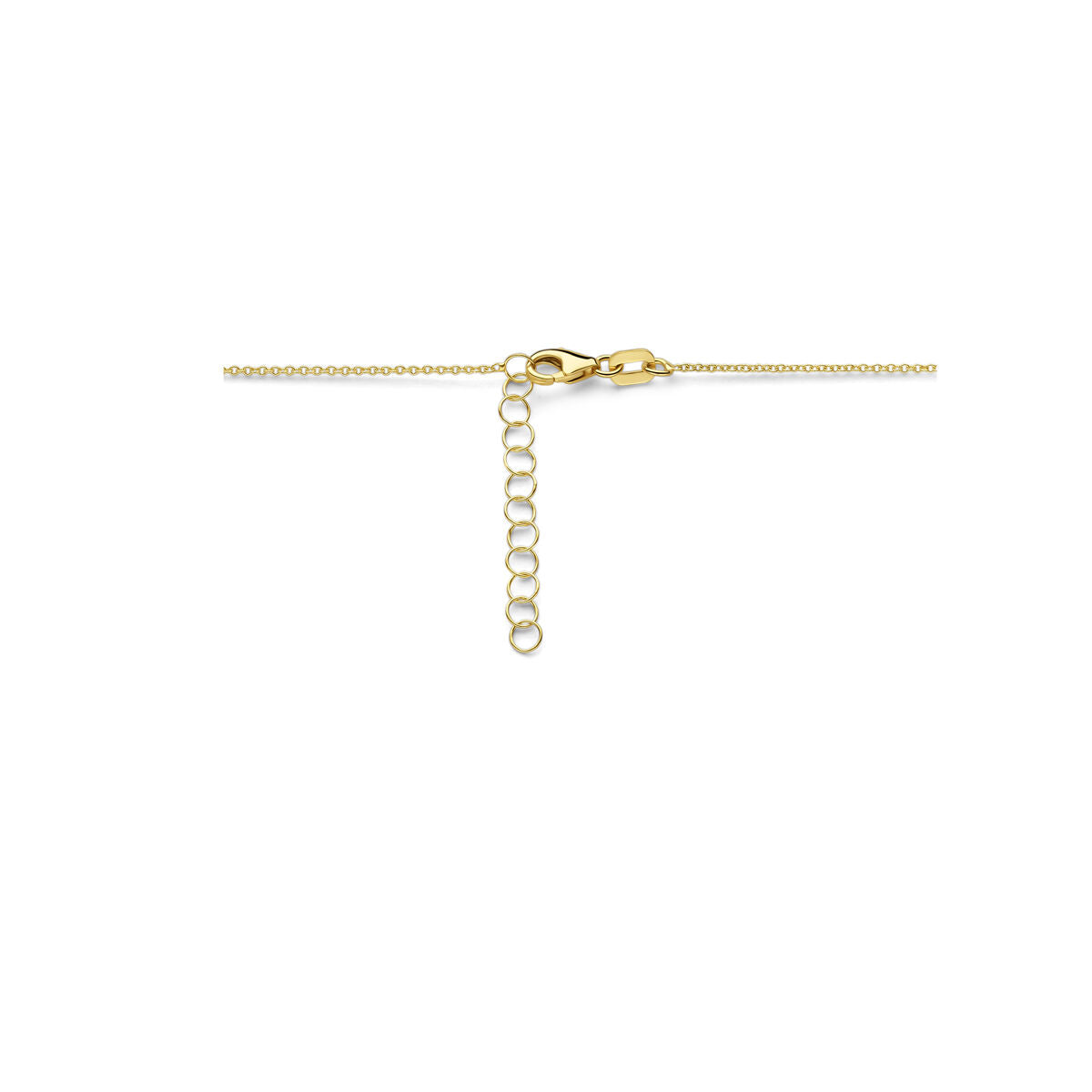 collar de grabado placa 1,6 mm 41 + 4 cm oro amarillo 14K