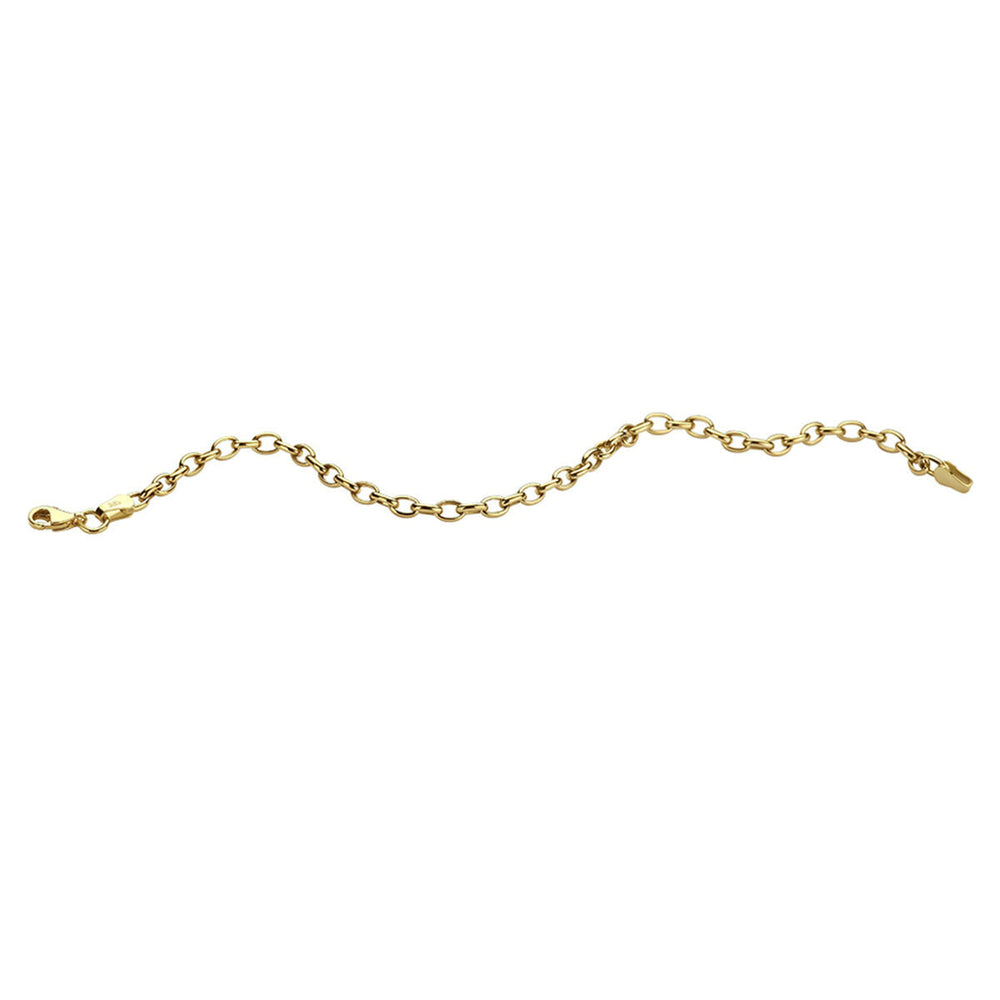 De Gouden armband dames anker 14K van de Van der Kooij Collectie heeft ronde schakels en een karabijnsluiting, geïnspireerd op het iconische ankerdesign en fraai gepresenteerd op een witte achtergrond.