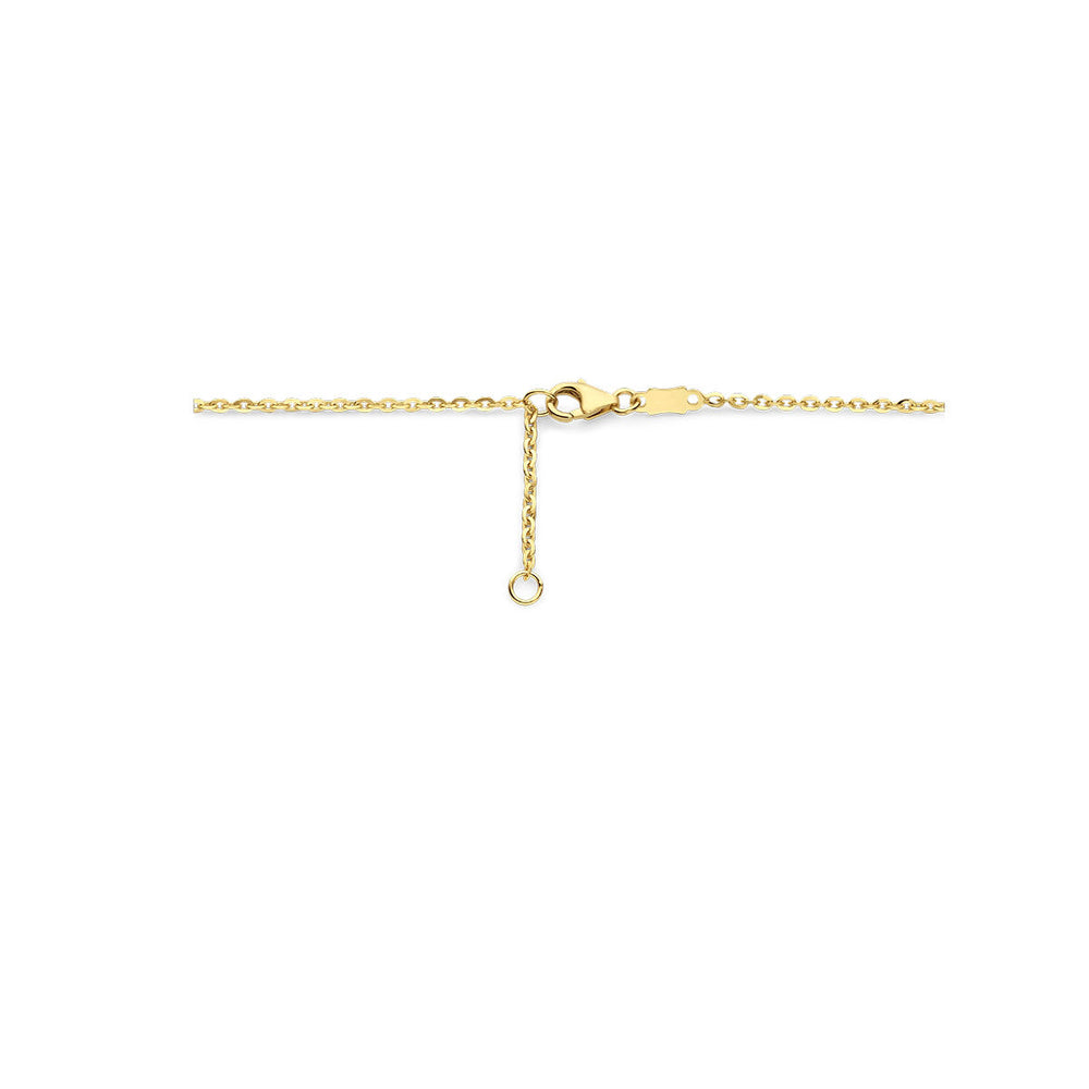 De Van der Kooij Collectie collier hart parelmoer 40-42 cm is een delicate 14K geelgouden ketting met een verstelbare verlenging en karabijnsluiting, afgebeeld op een witte achtergrond.