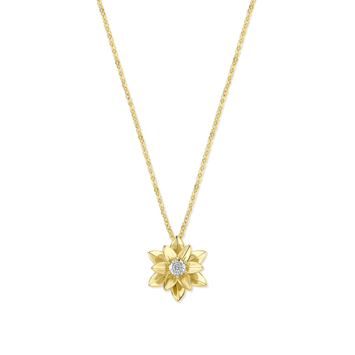 collier diamant 0.03ct h si 41 - 43 - 45 cm 14K bicolor goud geel/wit