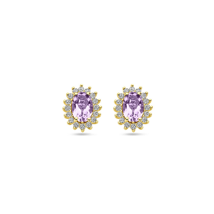 oorknoppen amethist en zirkonia 9,5 mm 14K geelgoud