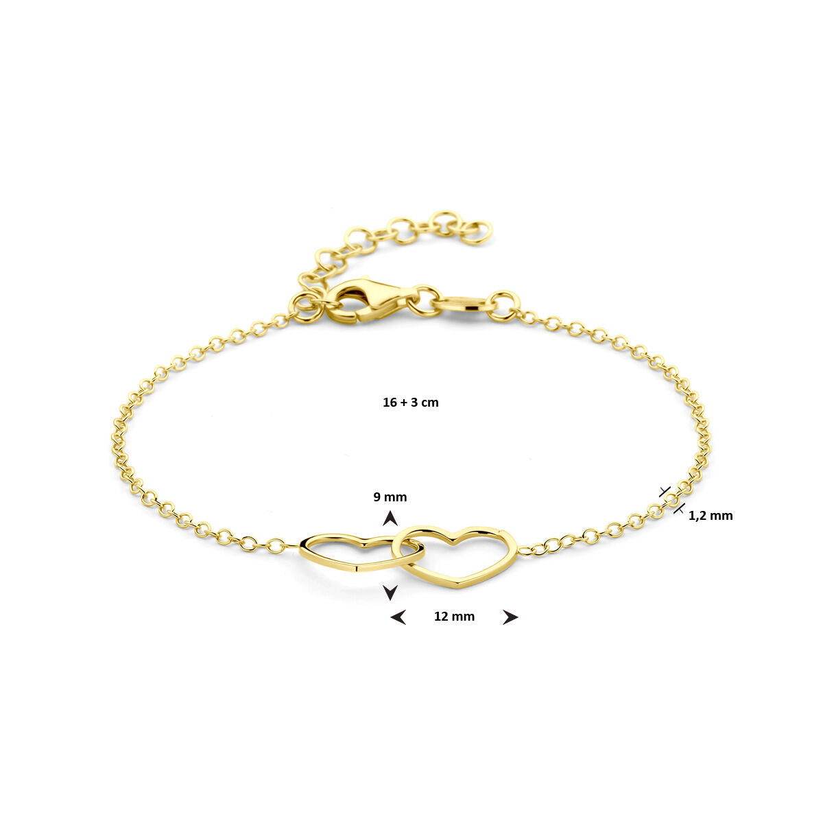De Van der Kooij Collectie armband hartjes 16 + 3 cm 3 micron zilver verguld (geel) heeft twee in elkaar gestrengelde hartjes in het midden van 12 mm × 9 mm, met een kettinglengte van 16 + 3 cm en een dikte van 1,2 mm.