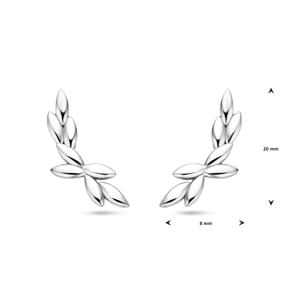 Colección Van der Kooij - pendientes de botón 20 mm plata rodiada