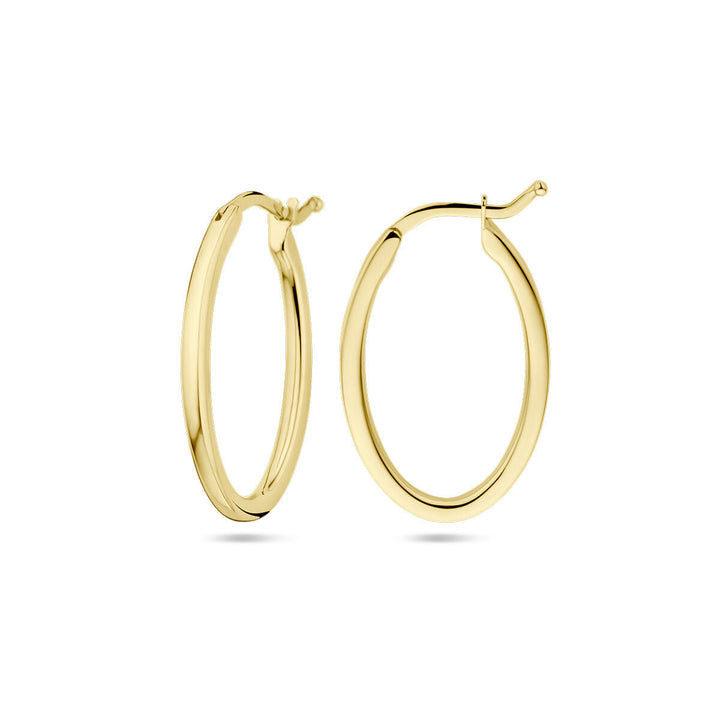 oorringen ovaal 14K geelgoud
