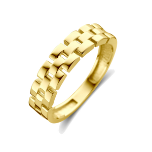 Anillos